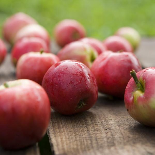 Gateau Aux Pommes Danois Visitdenmark