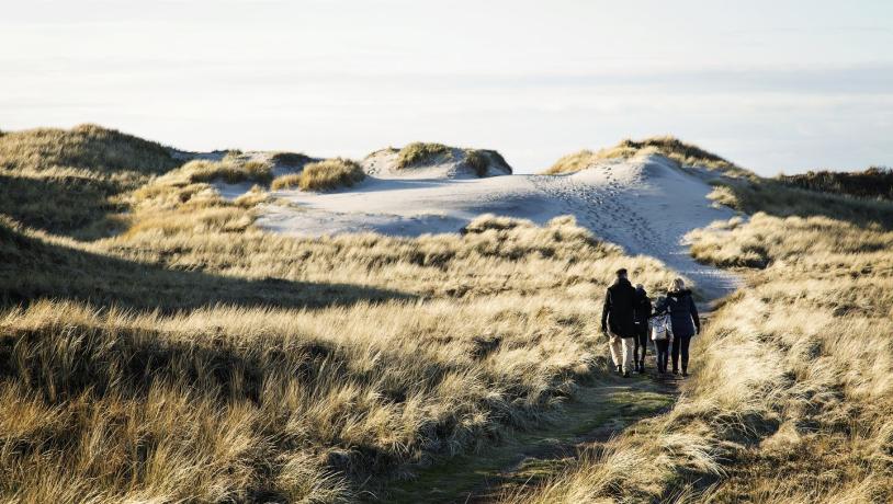 Family walking in dunes at Hvide Sande, Denmark