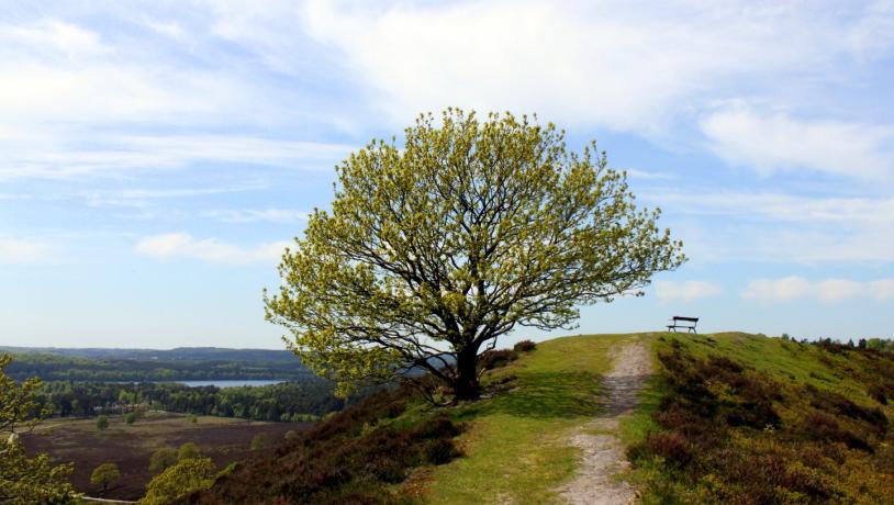 Silkeborg and the Danish Lake District