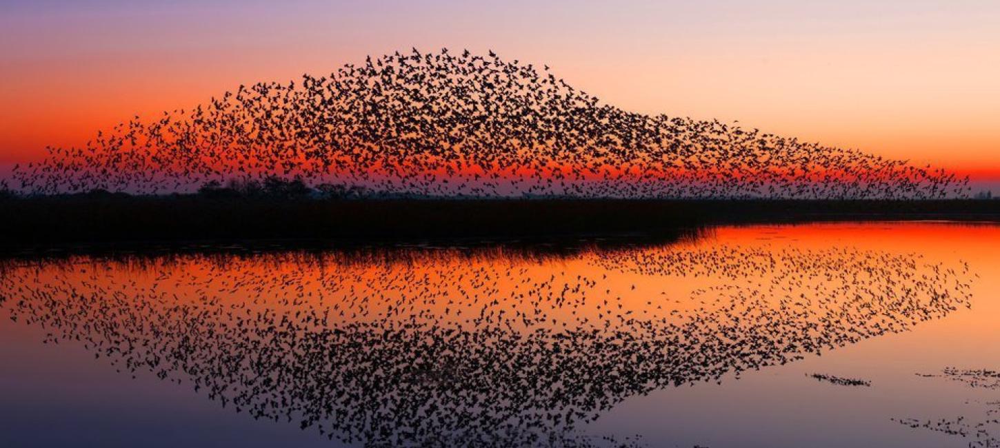 Black Sun at the Wadden Sea National Park