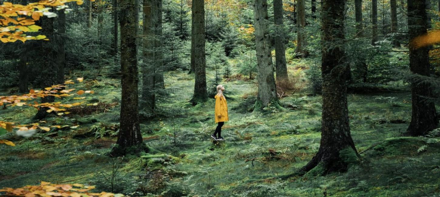 Woman in Rold Forest in autumn, Himmerland, North Jutland