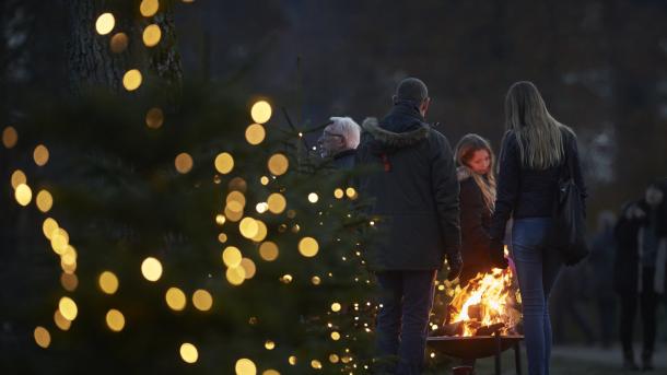 Egeskov Slot at Christmas at night
