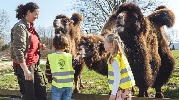 Ga je naar LEGOLAND® Billund Resort? Bezoek ook het bijbehorende Givskud Zoo