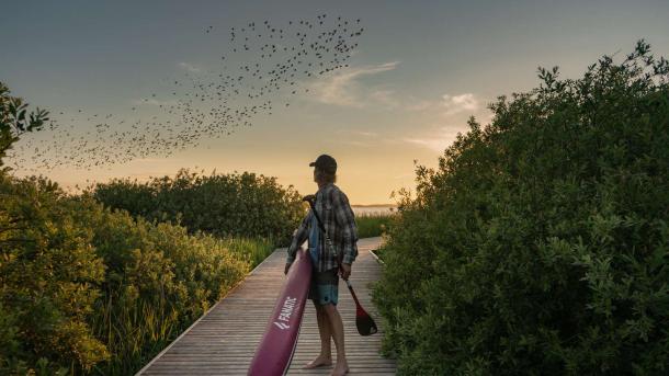 SUP at Vandet Lake in North West Denmark