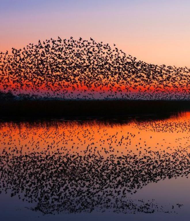 Black Sun at the Wadden Sea National Park