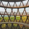 A man walks up Camp Adventure, a forest tower in Denmark.