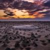 Nature in national park Wadden Sea, Denmark