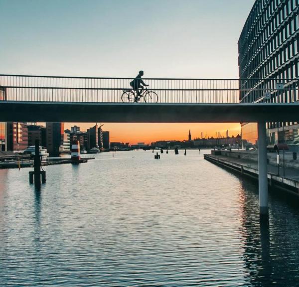 The bicycle Snake à Copenhague