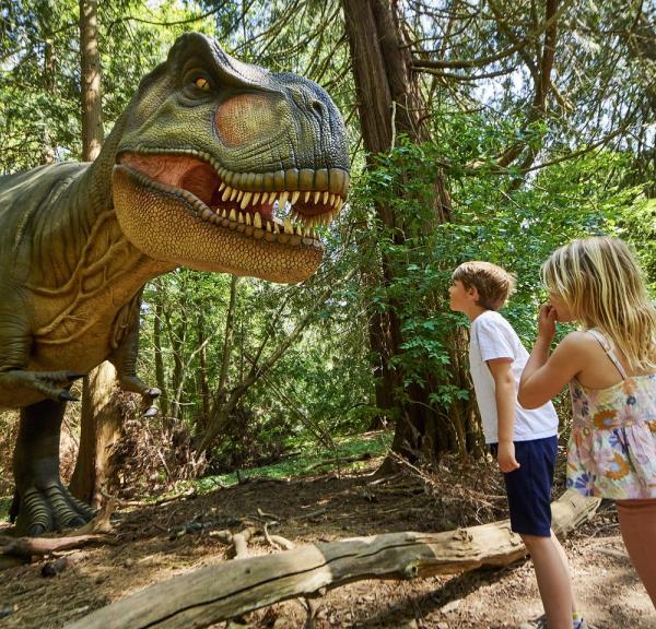 Knuthenborg Safaripark in Lolland-Falster, South Zealand