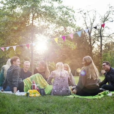 Pique-nique dans les Frederiksberg Gardens