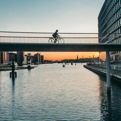 The bicycle Snake à Copenhague