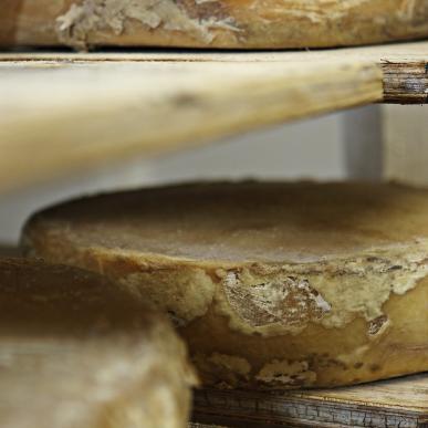 Dansk ost är en delikatess som många fastnar för