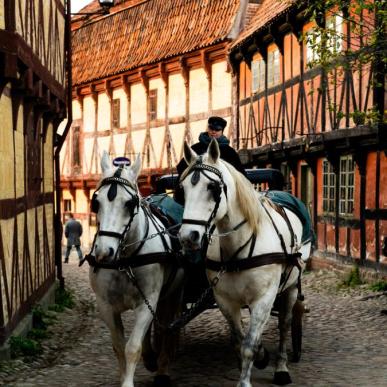 Den Gamle By in Aarhus